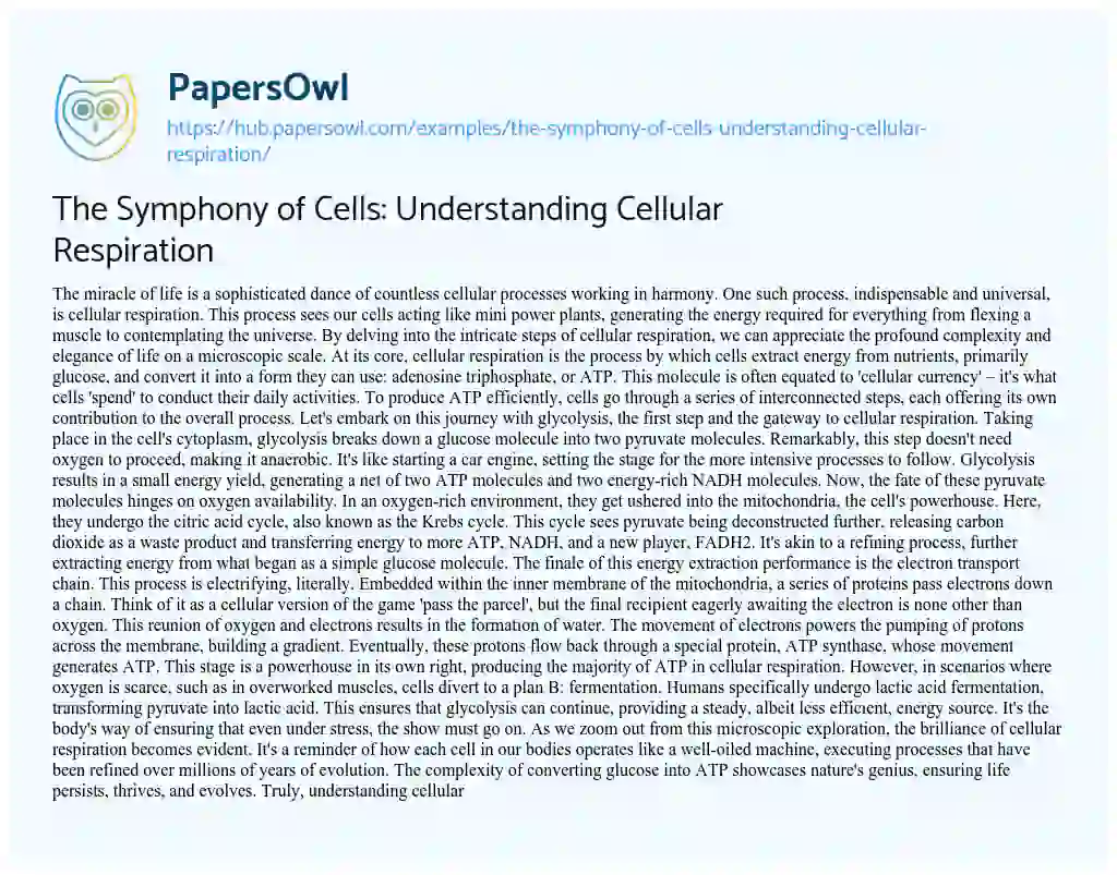 Essay on The Symphony of Cells: Understanding Cellular Respiration