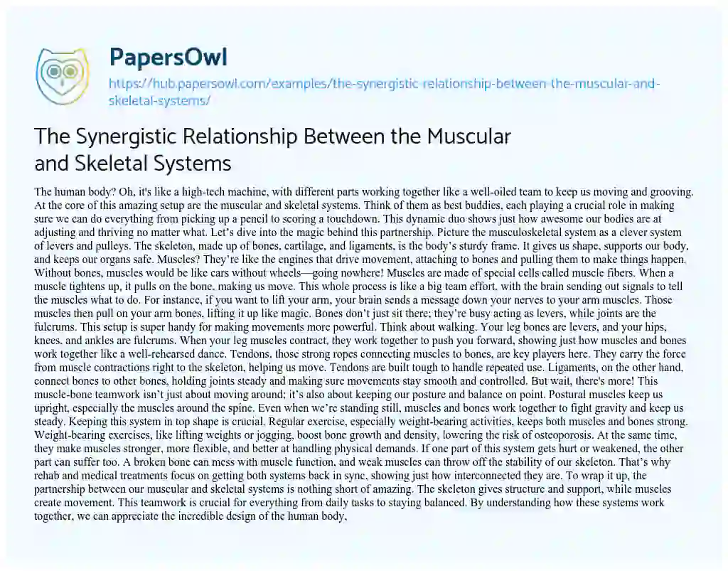 Essay on The Synergistic Relationship Between the Muscular and Skeletal Systems