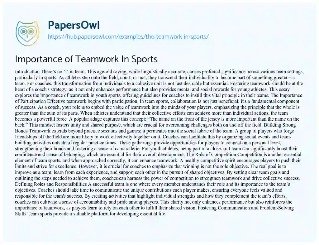 Essay on Importance of Teamwork In Sports