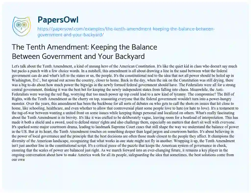 Essay on The Tenth Amendment: Keeping the Balance Between Government and Your Backyard