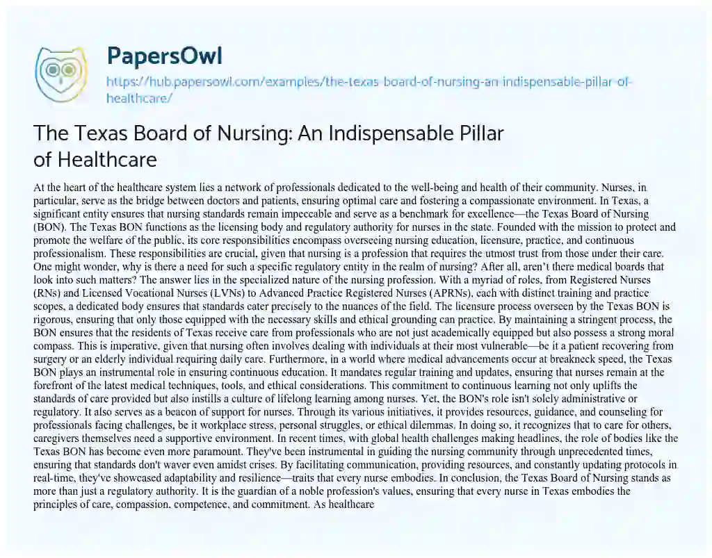 Essay on The Texas Board of Nursing: An Indispensable Pillar of Healthcare