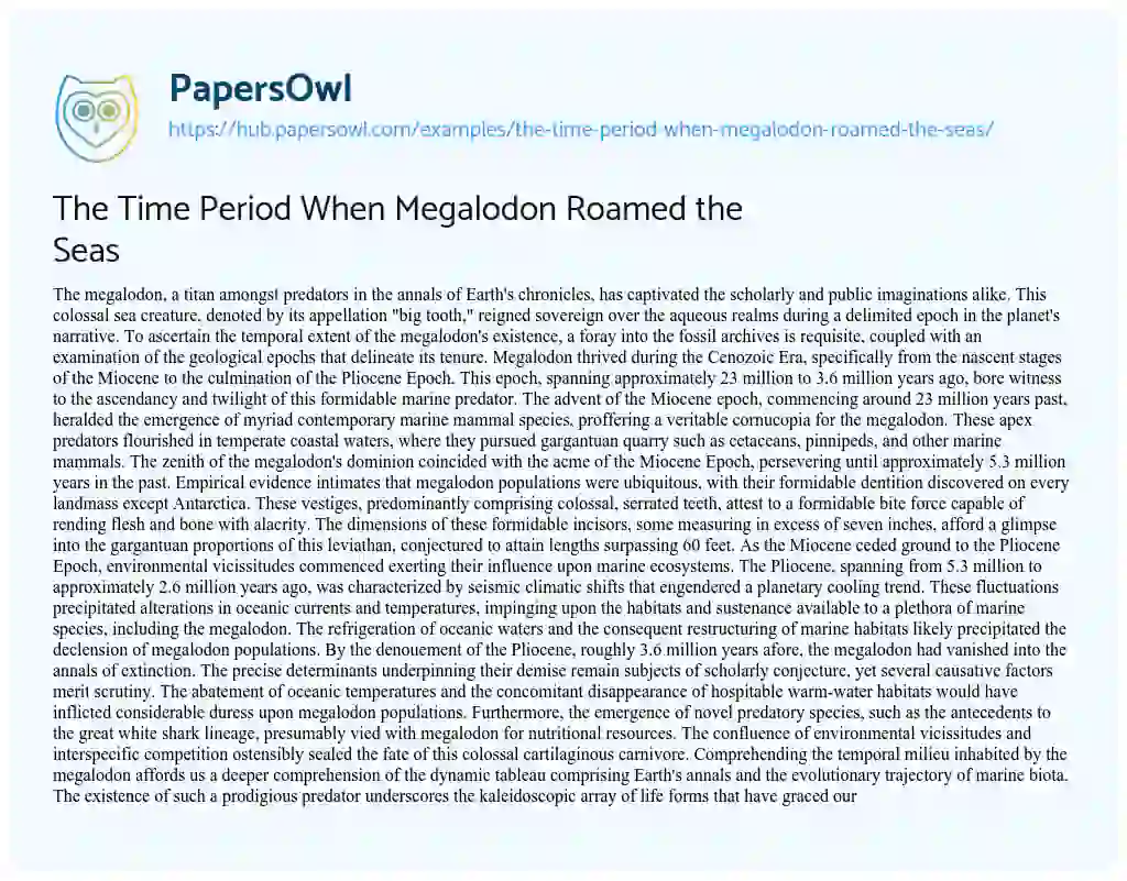 Essay on The Time Period When Megalodon Roamed the Seas