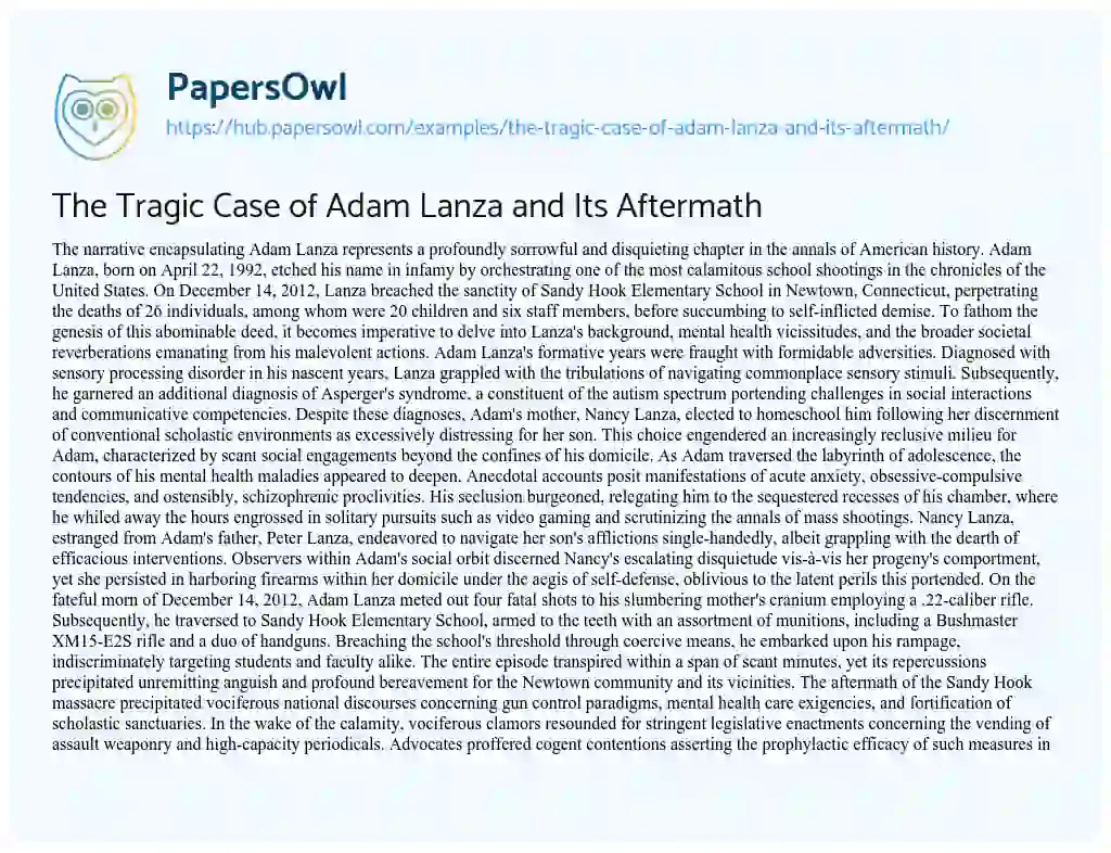 Essay on The Tragic Case of Adam Lanza and Its Aftermath