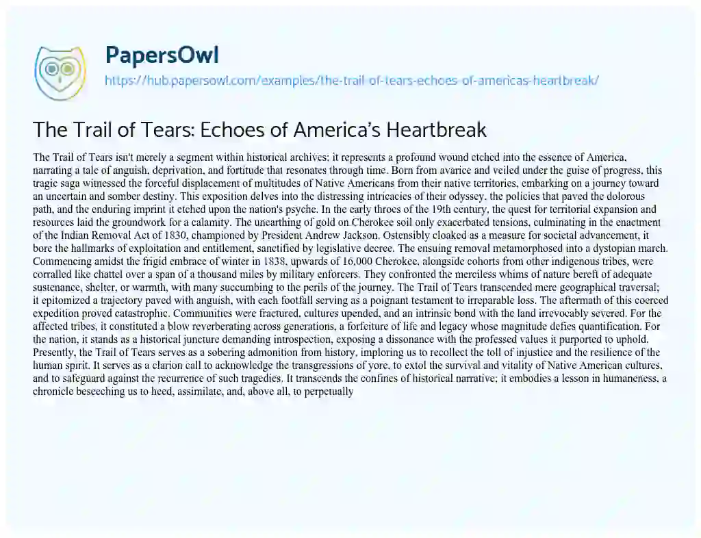 Essay on The Trail of Tears: Echoes of America’s Heartbreak