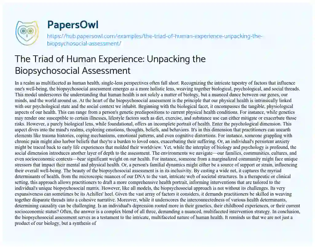 Essay on The Triad of Human Experience: Unpacking the Biopsychosocial Assessment