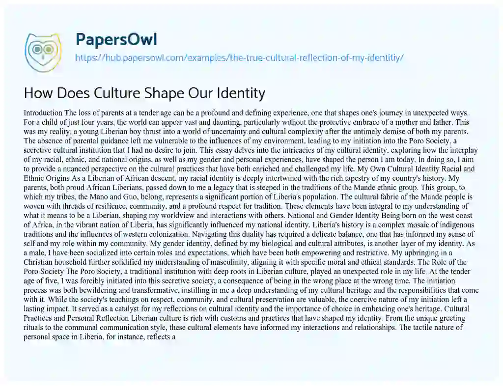 Essay on How Does Culture Shape Our Identity