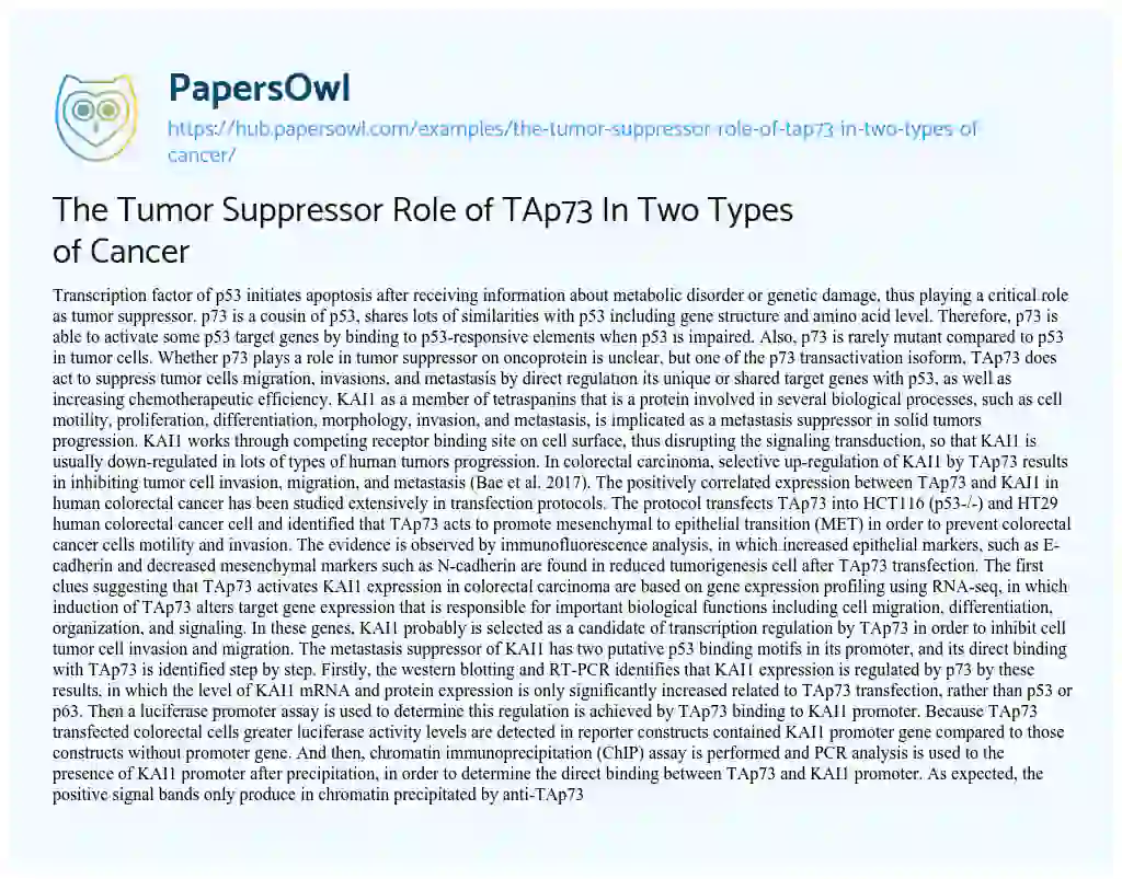 Essay on The Tumor Suppressor Role of TAp73 In Two Types of Cancer