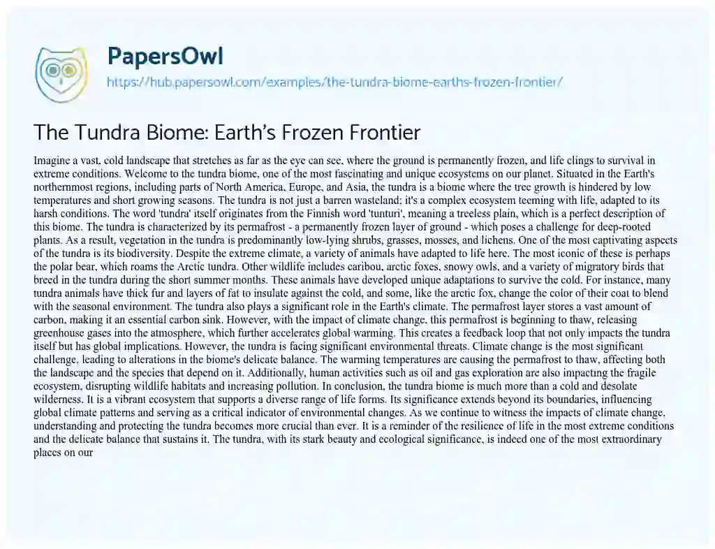 Essay on The Tundra Biome: Earth’s Frozen Frontier