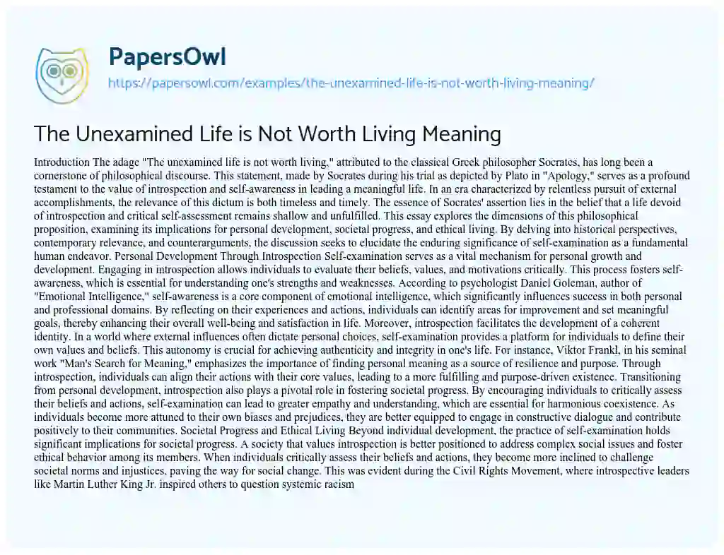 Essay on The Unexamined Life is Not Worth Living Meaning