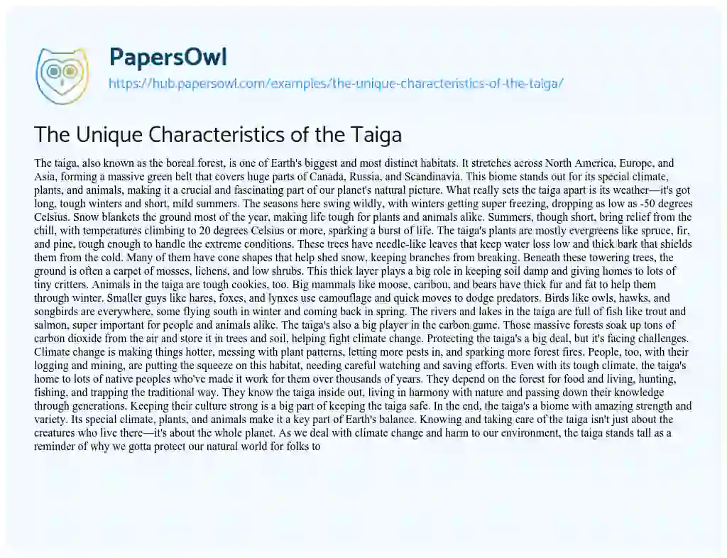 Essay on The Unique Characteristics of the Taiga