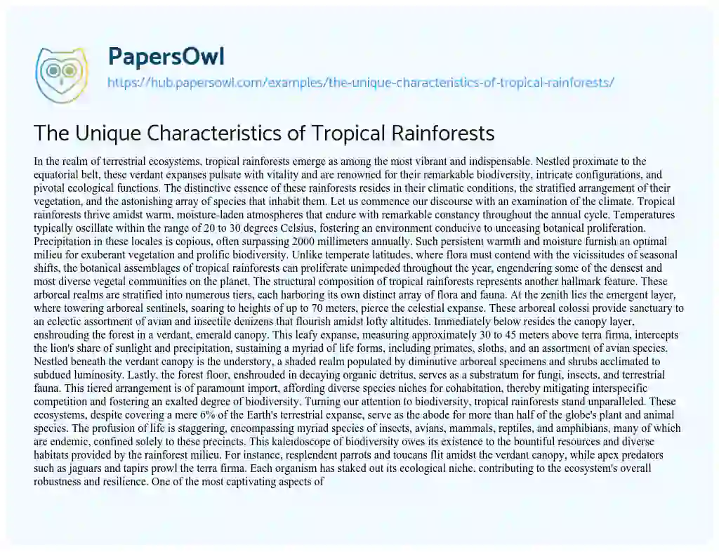 Essay on The Unique Characteristics of Tropical Rainforests
