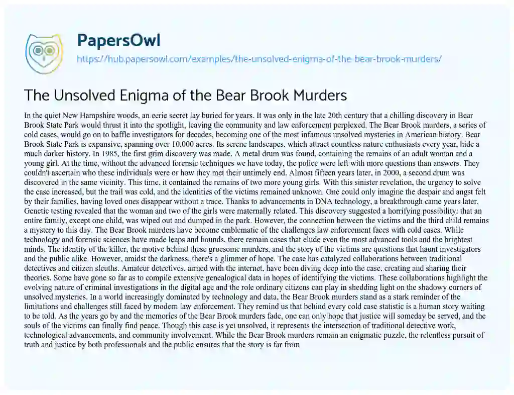 Essay on The Unsolved Enigma of the Bear Brook Murders