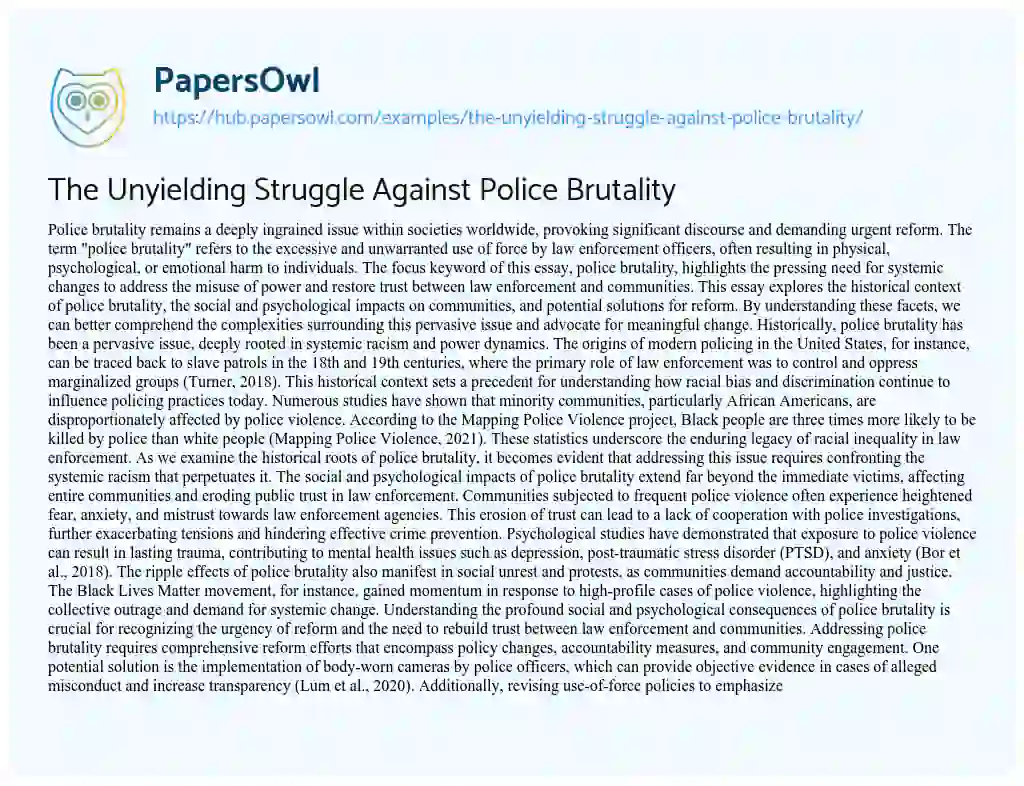 Essay on The Unyielding Struggle Against Police Brutality