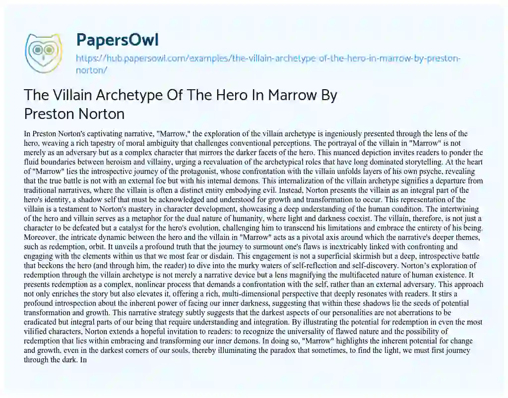 Essay on The Villain Archetype Of The Hero In Marrow By Preston Norton