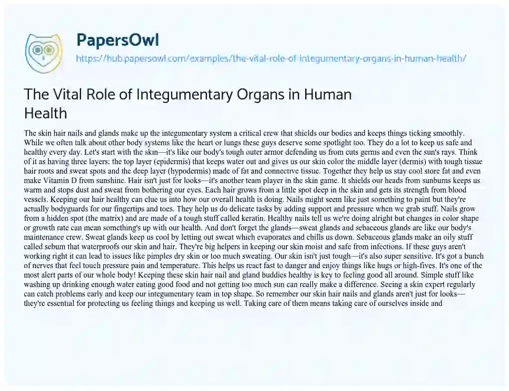 Essay on The Vital Role of Integumentary Organs in Human Health
