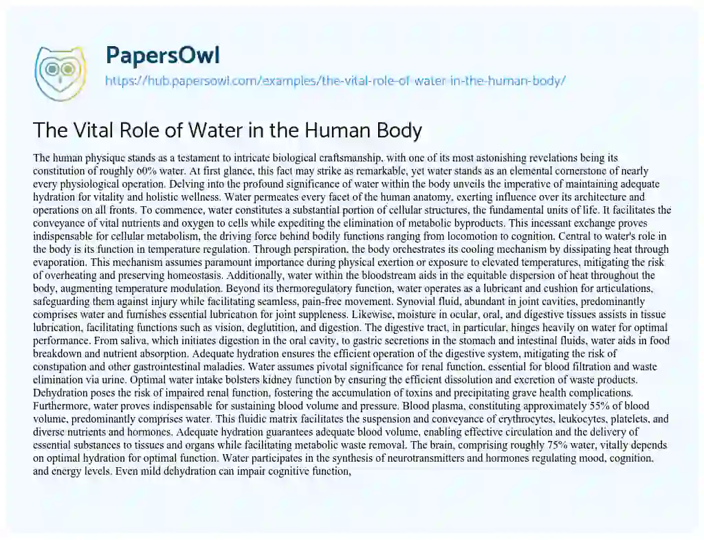 Essay on The Vital Role of Water in the Human Body