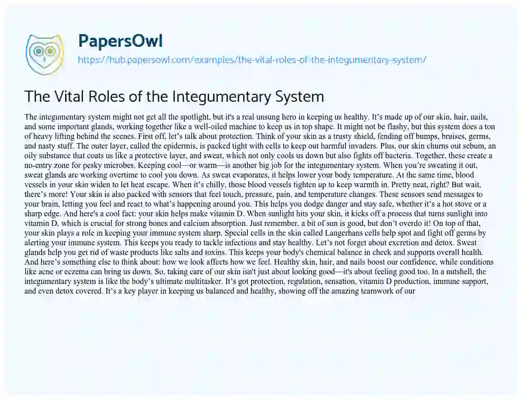 Essay on The Vital Roles of the Integumentary System