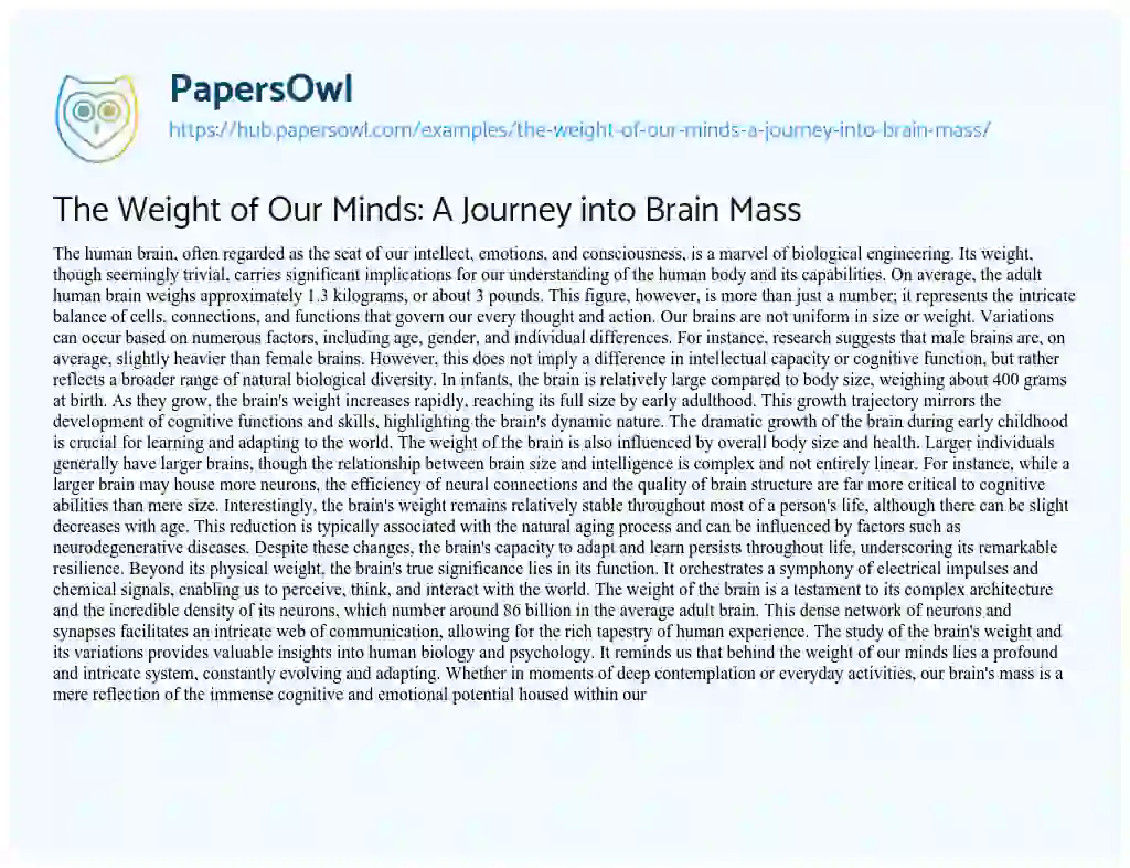 Essay on The Weight of Our Minds: A Journey into Brain Mass