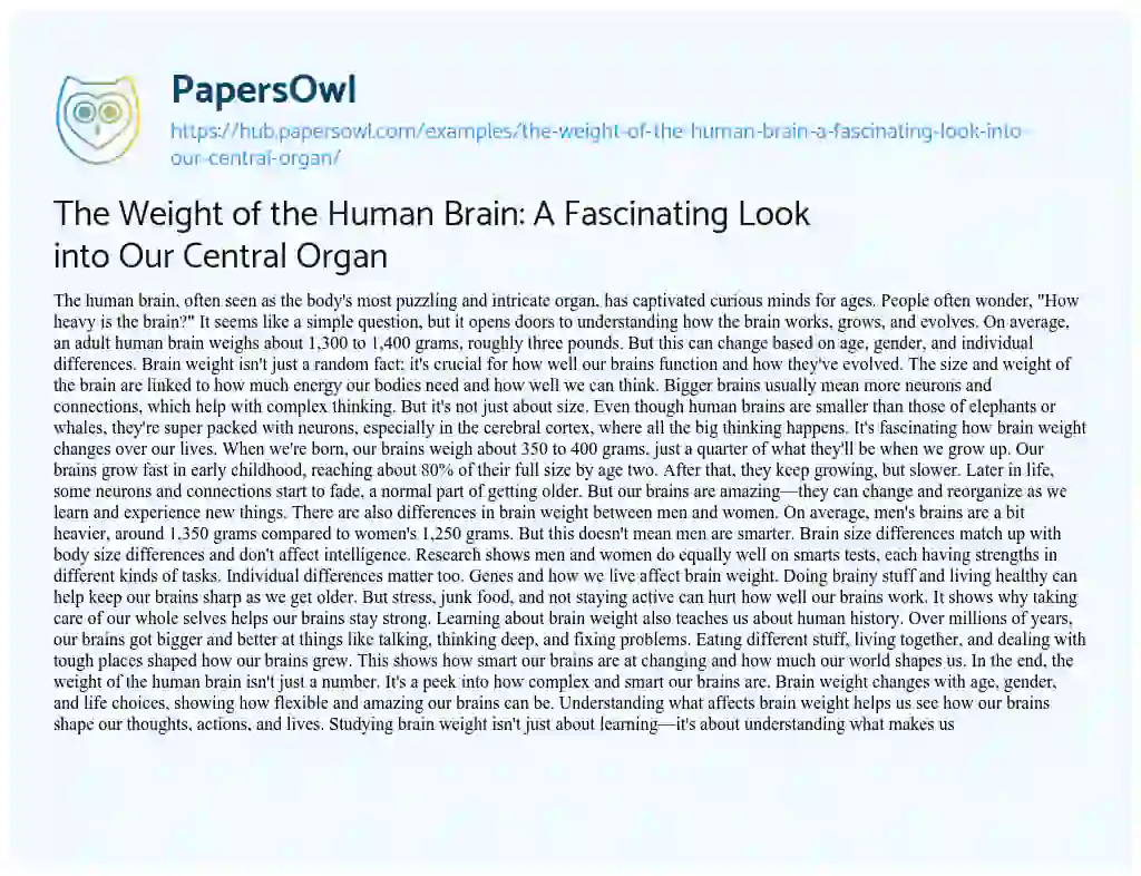 Essay on The Weight of the Human Brain: A Fascinating Look into Our Central Organ
