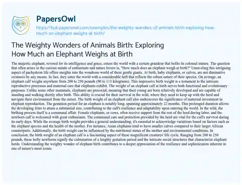 Essay on The Weighty Wonders of Animals Birth: Exploring How Much an Elephant Weighs at Birth