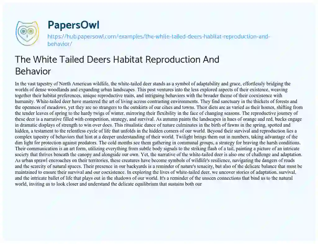 Essay on The White Tailed Deers Habitat Reproduction And Behavior