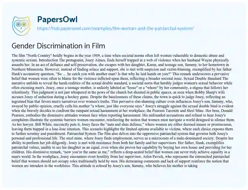 Essay on Gender Discrimination in Film