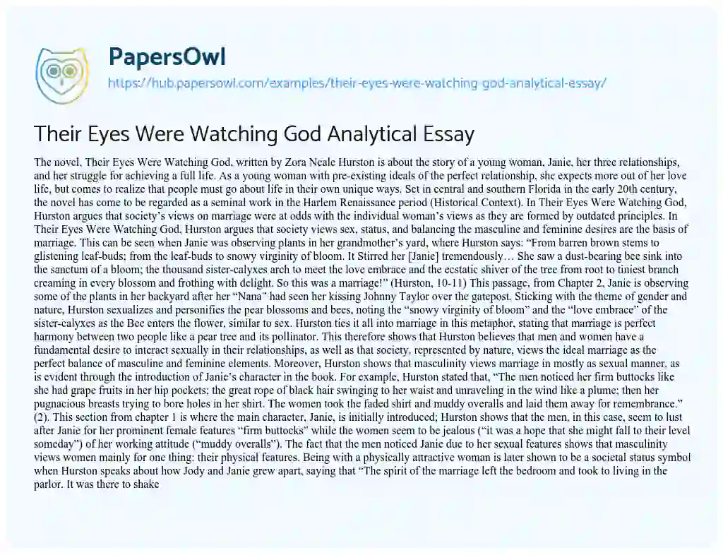 Essay on Their Eyes Were Watching God Analytical Essay