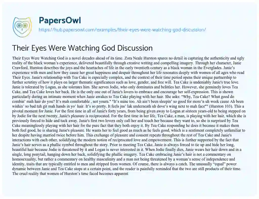 Essay on Their Eyes Were Watching God Discussion