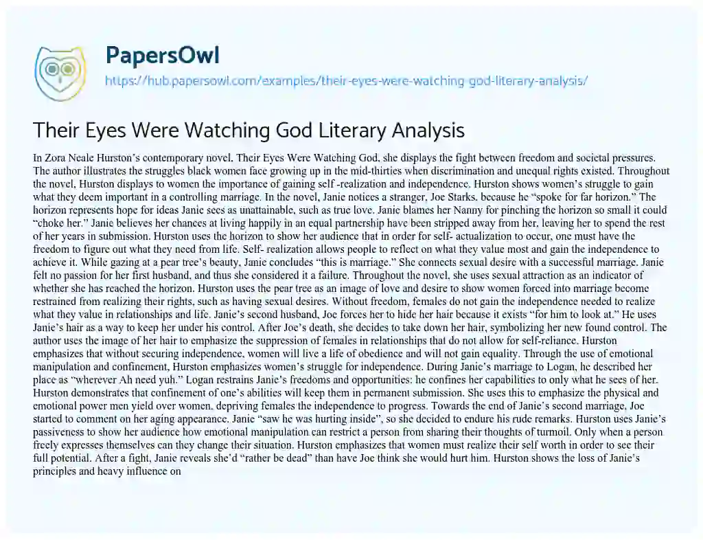 Essay on Their Eyes Were Watching God Literary Analysis