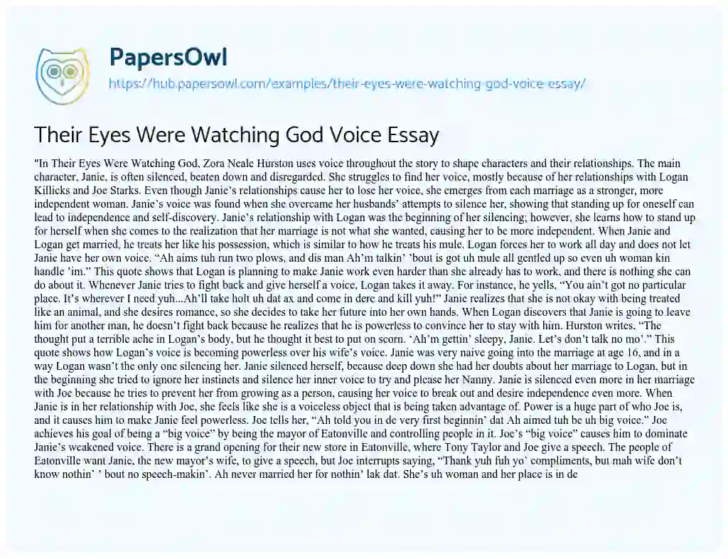 Essay on Their Eyes Were Watching God Voice Essay