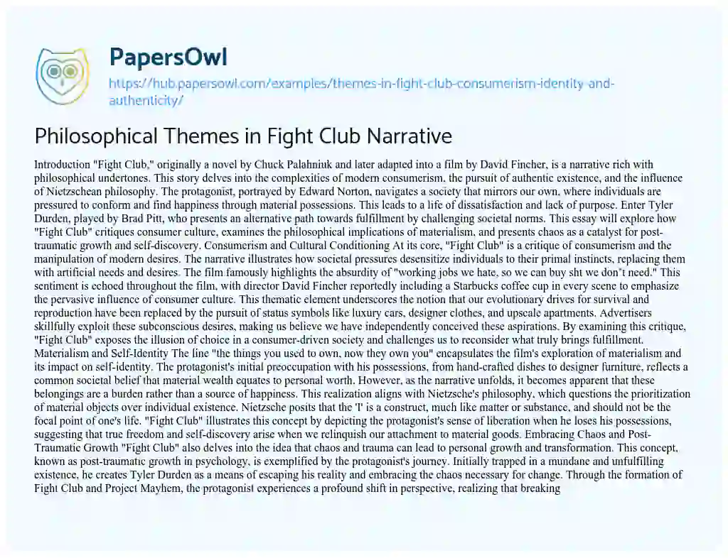 Essay on Philosophical Themes in Fight Club Narrative