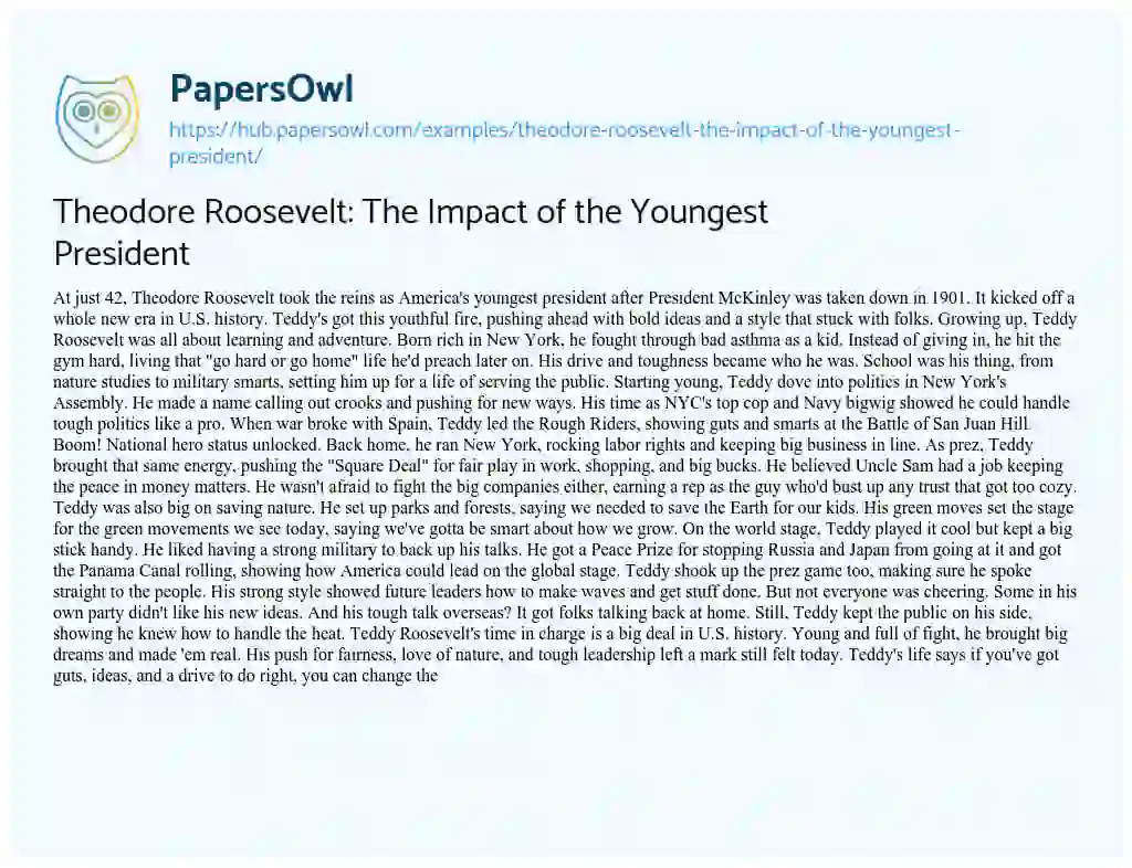 Essay on Theodore Roosevelt: The Impact of the Youngest President