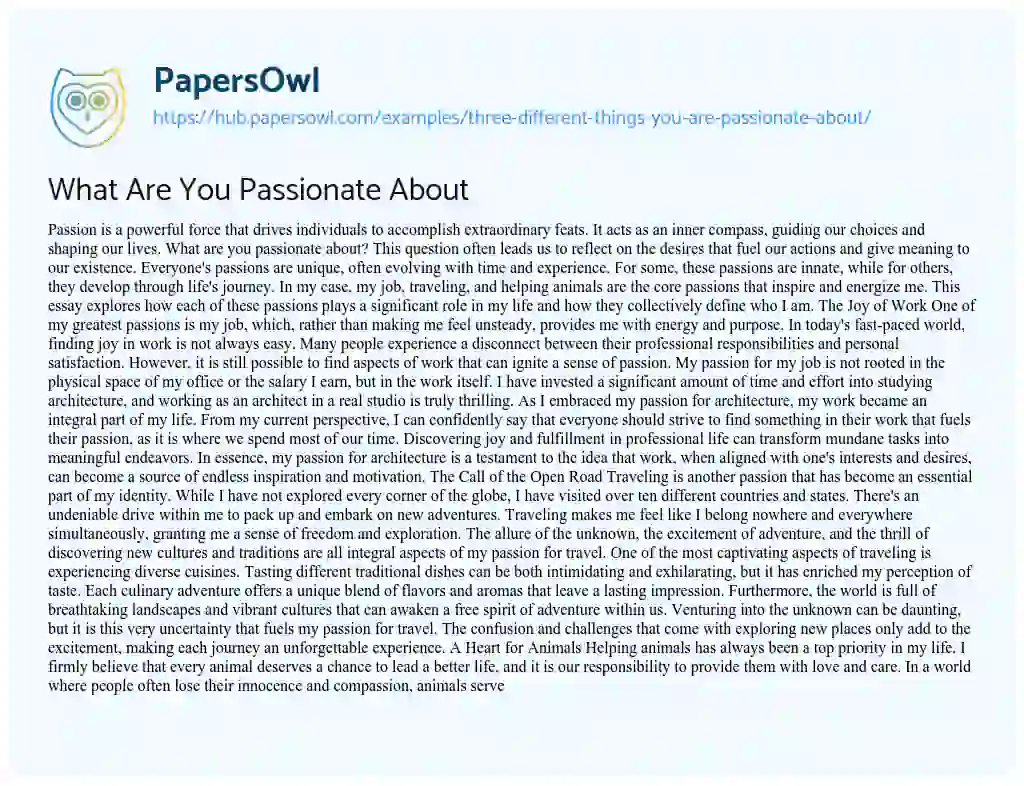 Essay on What Are You Passionate About