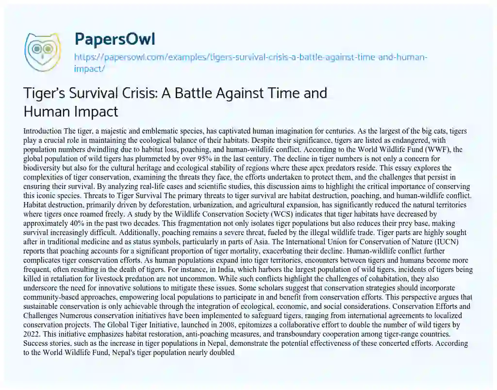 Essay on Tiger’s Survival Crisis: A Battle Against Time and Human Impact