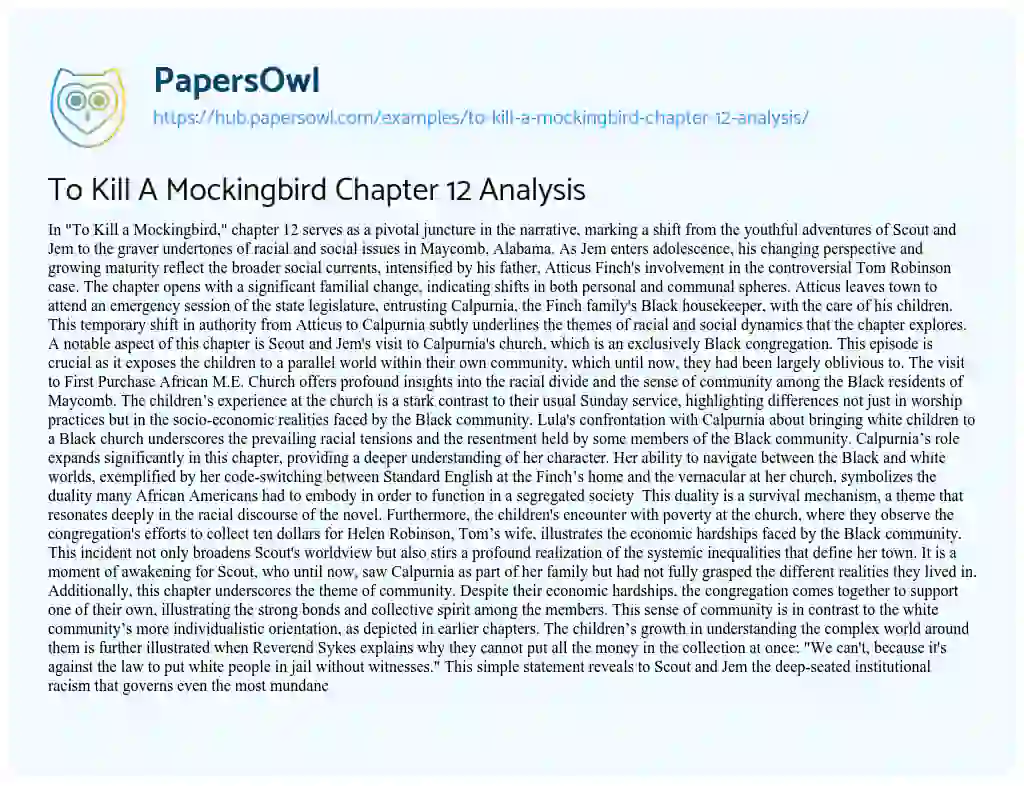 Essay on To Kill A Mockingbird Chapter 12 Analysis