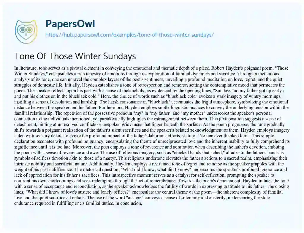 Essay on Tone Of Those Winter Sundays