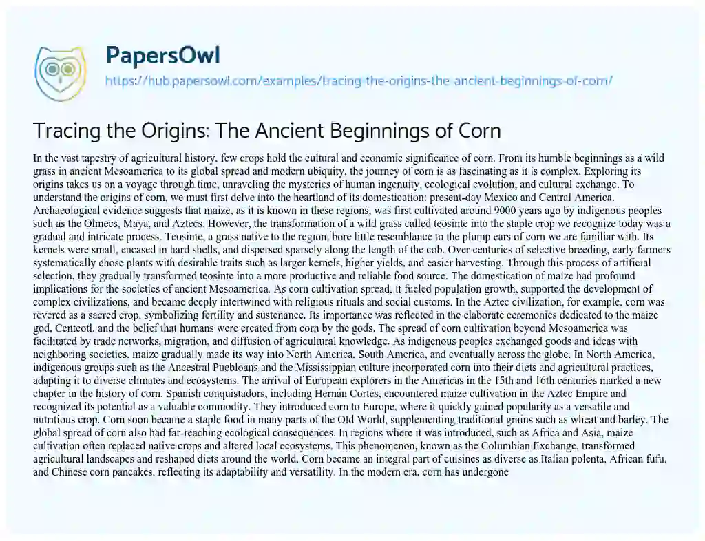Essay on Tracing the Origins: The Ancient Beginnings of Corn