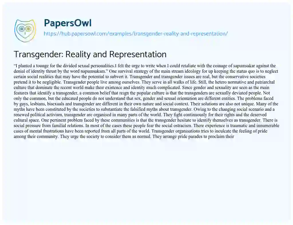 Essay on Transgender: Reality and Representation