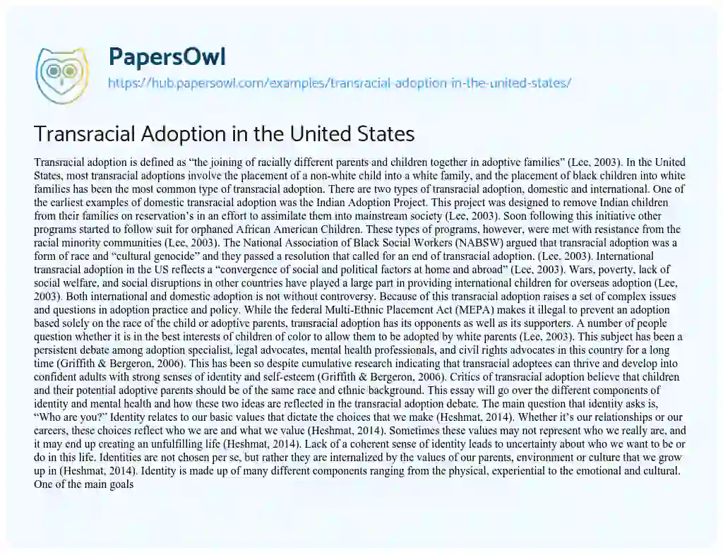 Essay on Transracial Adoption in the United States
