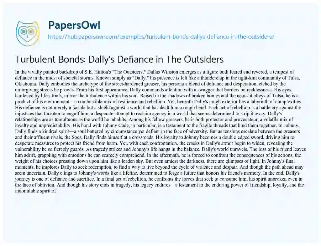Essay on Turbulent Bonds: Dally’s Defiance in The Outsiders