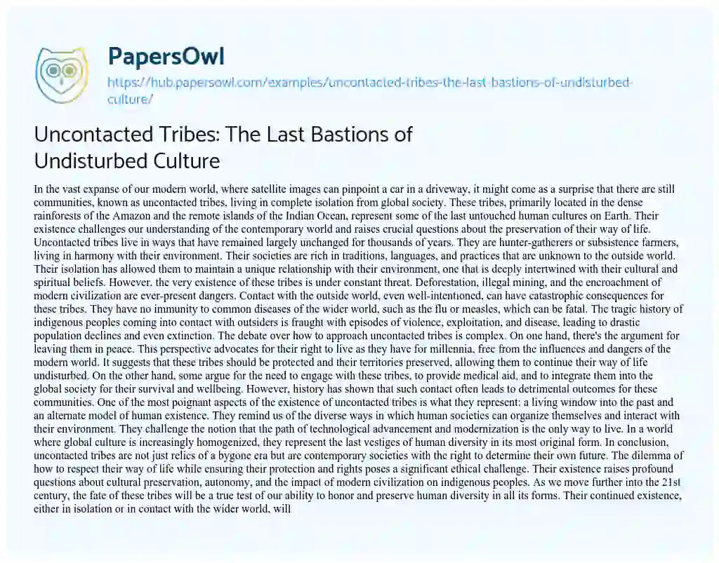 Essay on Uncontacted Tribes: The Last Bastions of Undisturbed Culture