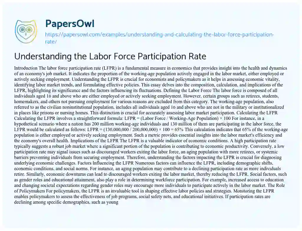Essay on Understanding the Labor Force Participation Rate