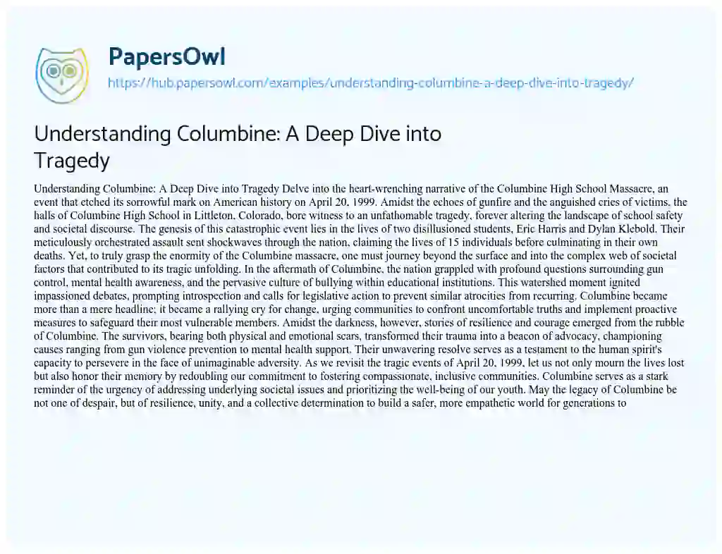 Essay on Understanding Columbine: A Deep Dive into Tragedy