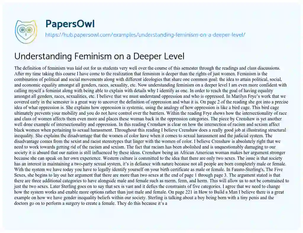 Essay on Understanding Feminism on a Deeper Level