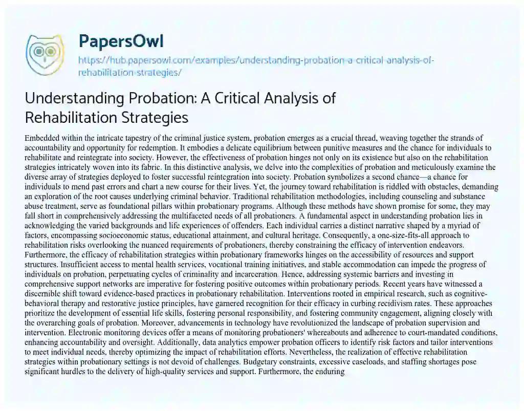 Essay on Understanding Probation: A Critical Analysis of Rehabilitation Strategies