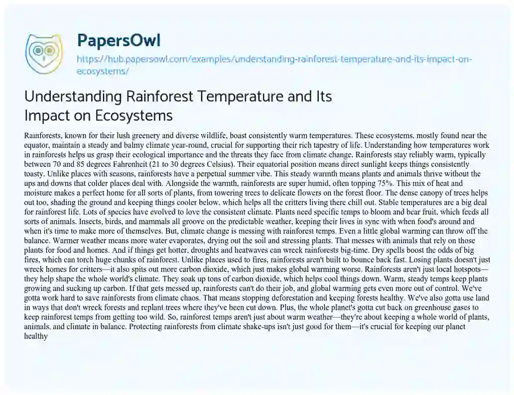 Essay on Understanding Rainforest Temperature and Its Impact on Ecosystems