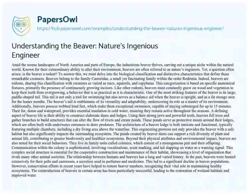 Essay on Understanding the Beaver: Nature’s Ingenious Engineer