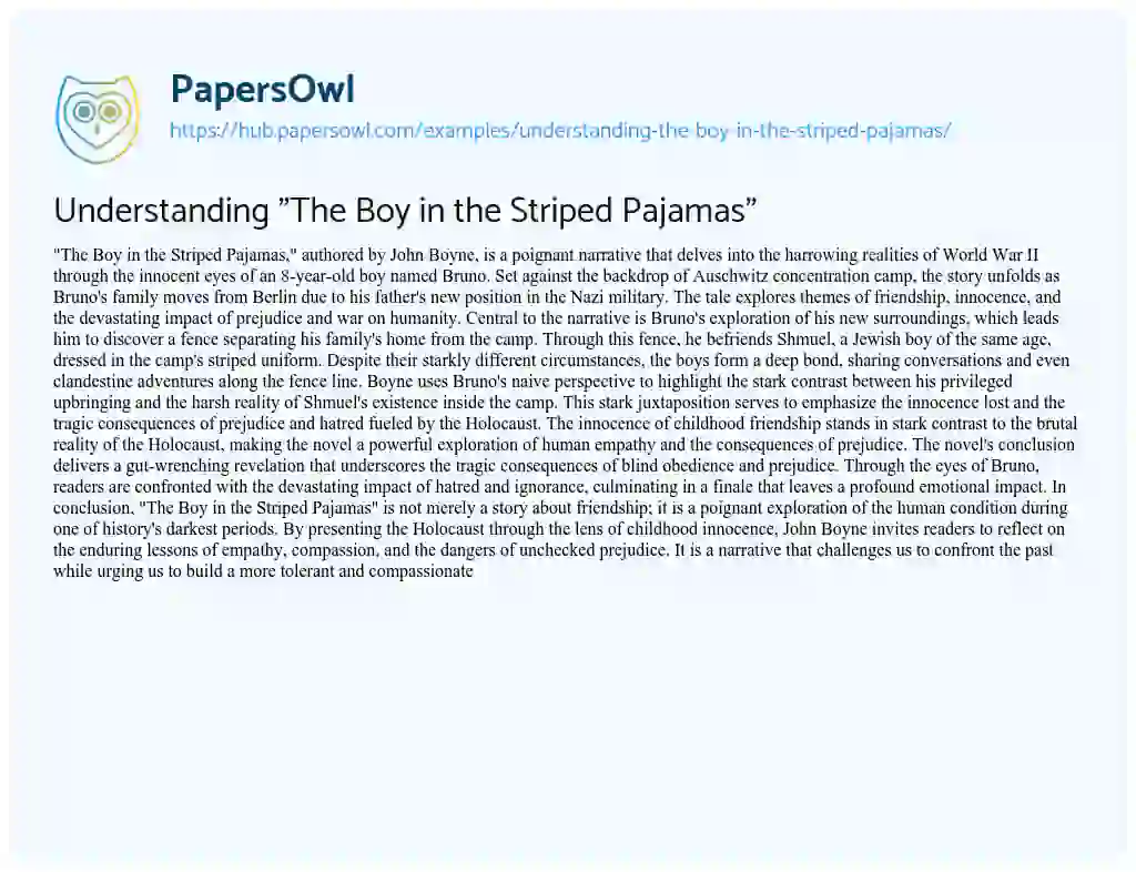 Essay on Understanding “The Boy in the Striped Pajamas”