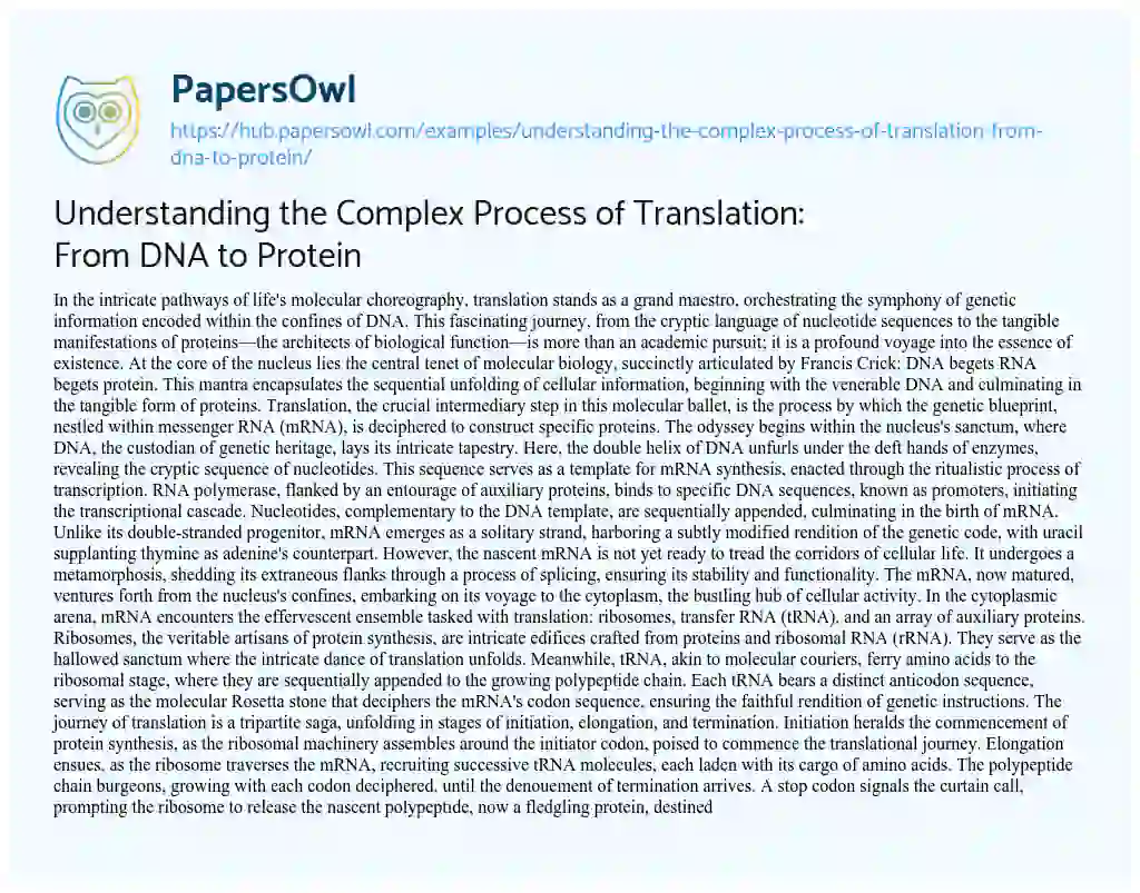Essay on Understanding the Complex Process of Translation: From DNA to Protein