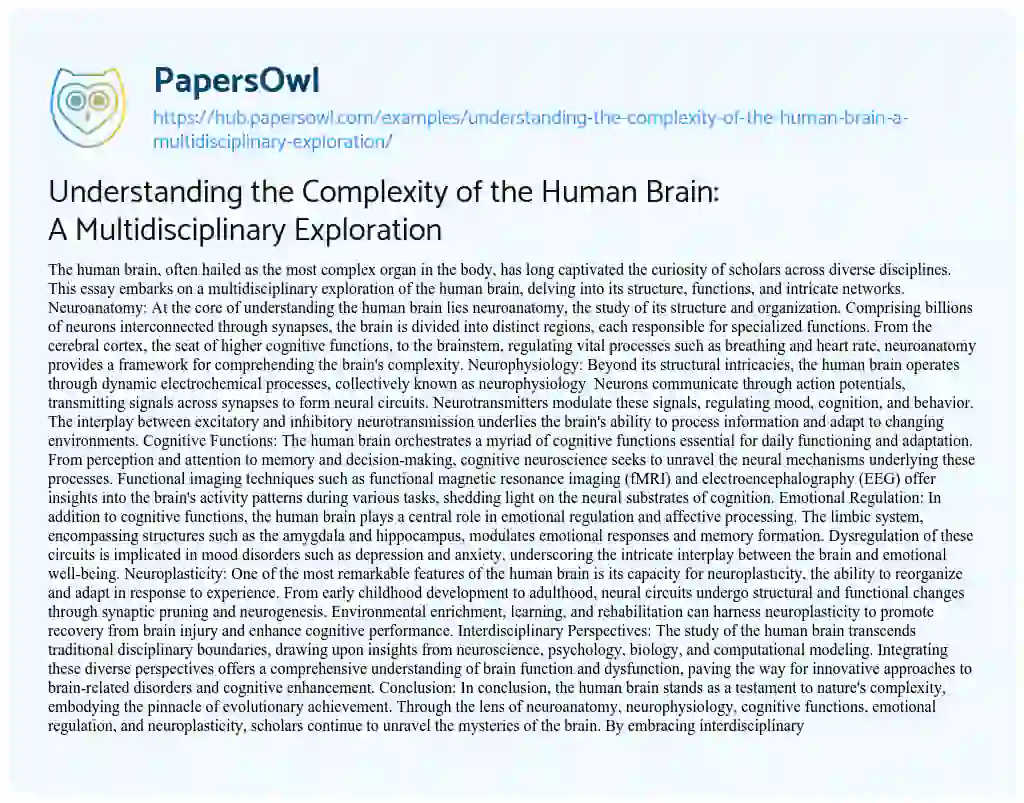 Essay on Understanding the Complexity of the Human Brain: A Multidisciplinary Exploration